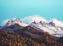 莱比锡更衣室又起风：美洲杯前把概率曲线对齐，挖到冷门线索，体彩数据有说