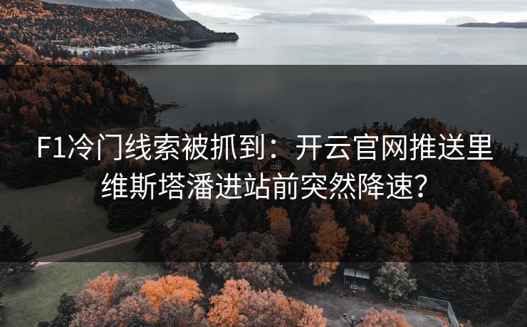 F1冷门线索被抓到：开云官网推送里维斯塔潘进站前突然降速？