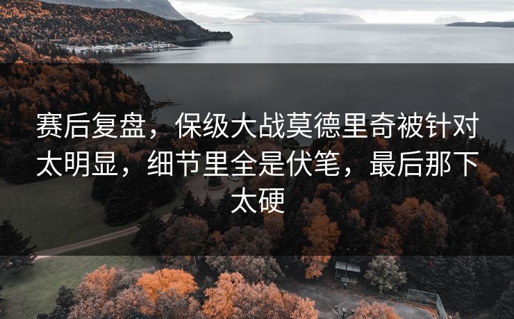 赛后复盘，保级大战莫德里奇被针对太明显，细节里全是伏笔，最后那下太硬