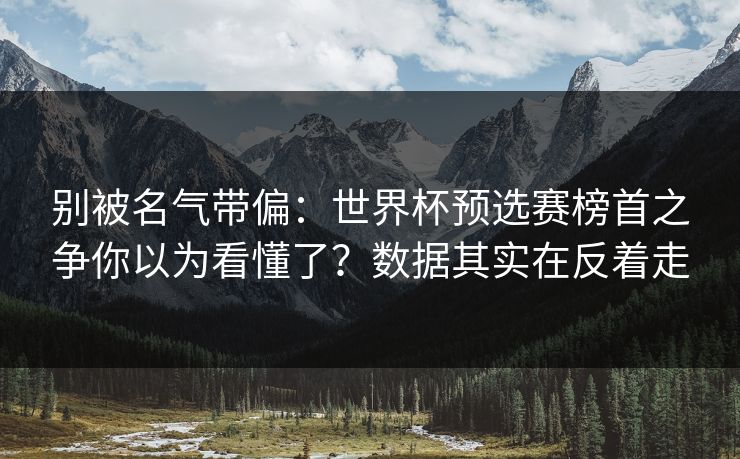 别被名气带偏：世界杯预选赛榜首之争你以为看懂了？数据其实在反着走