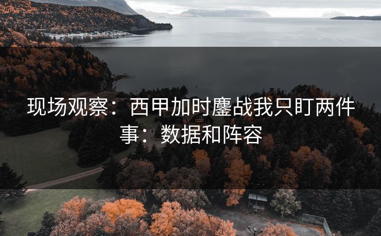 现场观察：西甲加时鏖战我只盯两件事：数据和阵容