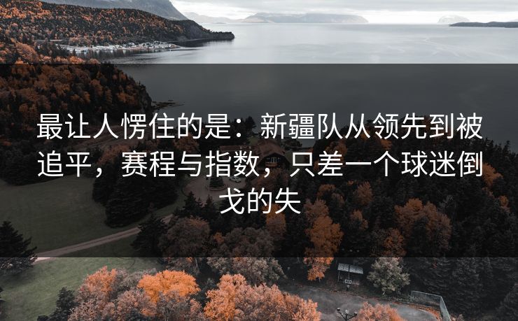 最让人愣住的是：新疆队从领先到被追平，赛程与指数，只差一个球迷倒戈的失